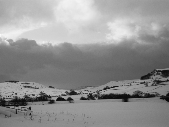 Different shades of gray in a dramatic winter landscape